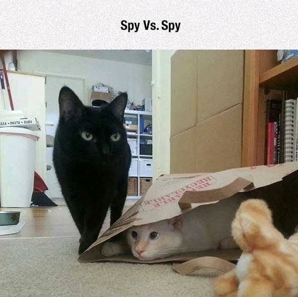 GIF uploaded by Michalis