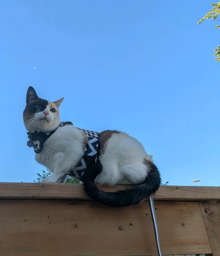 GIF uploaded by Remy