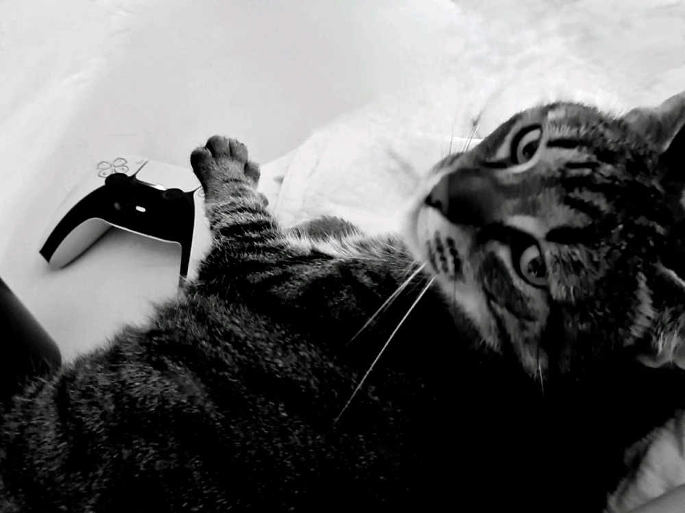 GIF uploaded by Doris