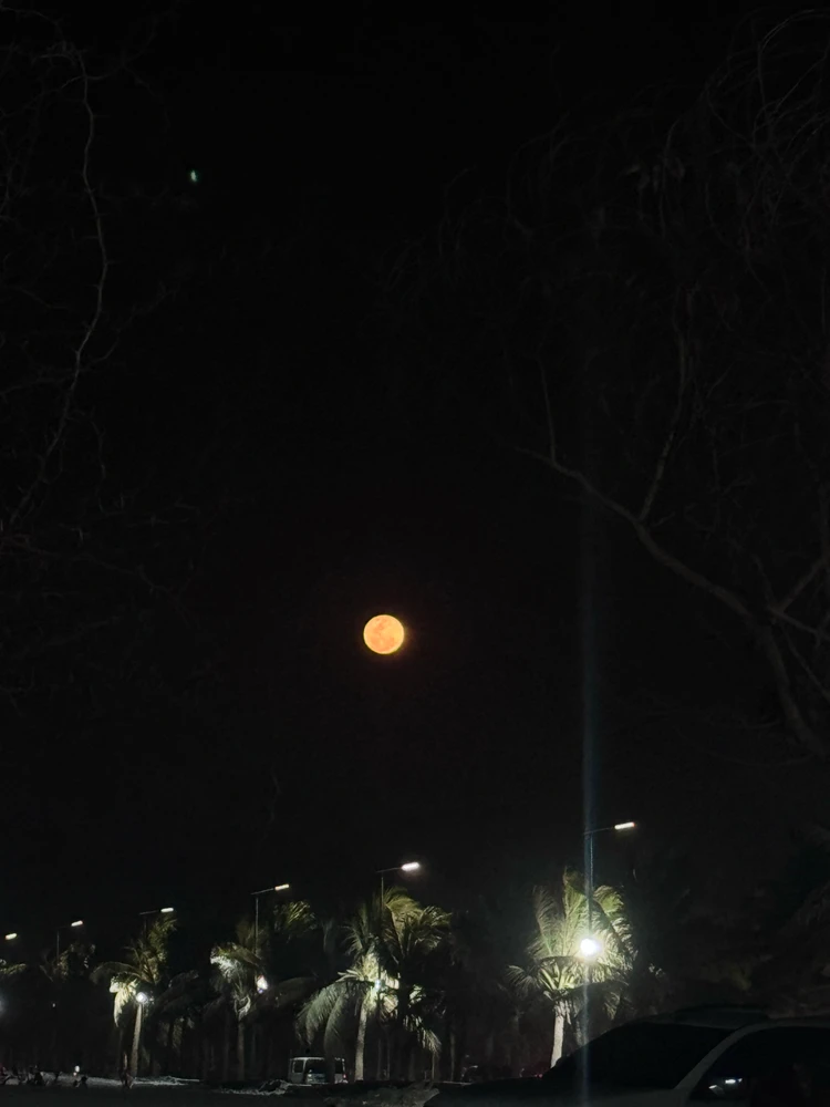 GIF uploaded by C