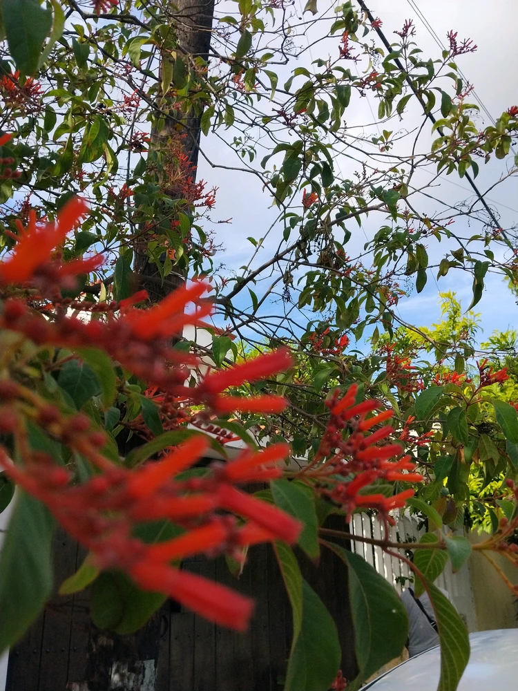 Image uploaded by Emmanems
