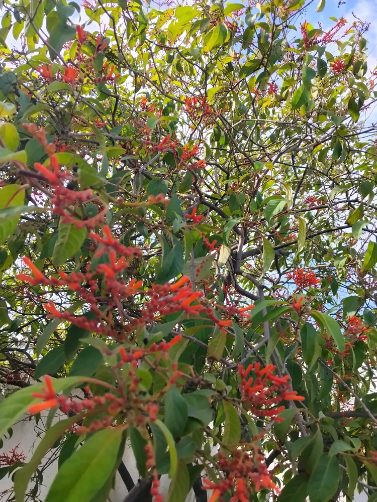 Image uploaded by Emmanems