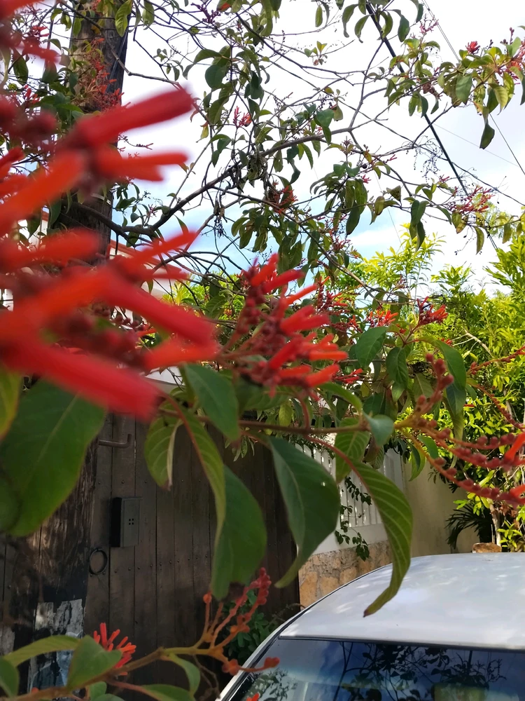 Image uploaded by Emmanems