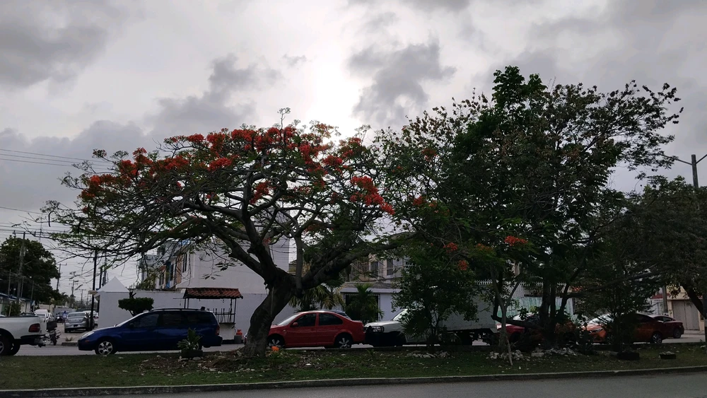 Image uploaded by Emmanems