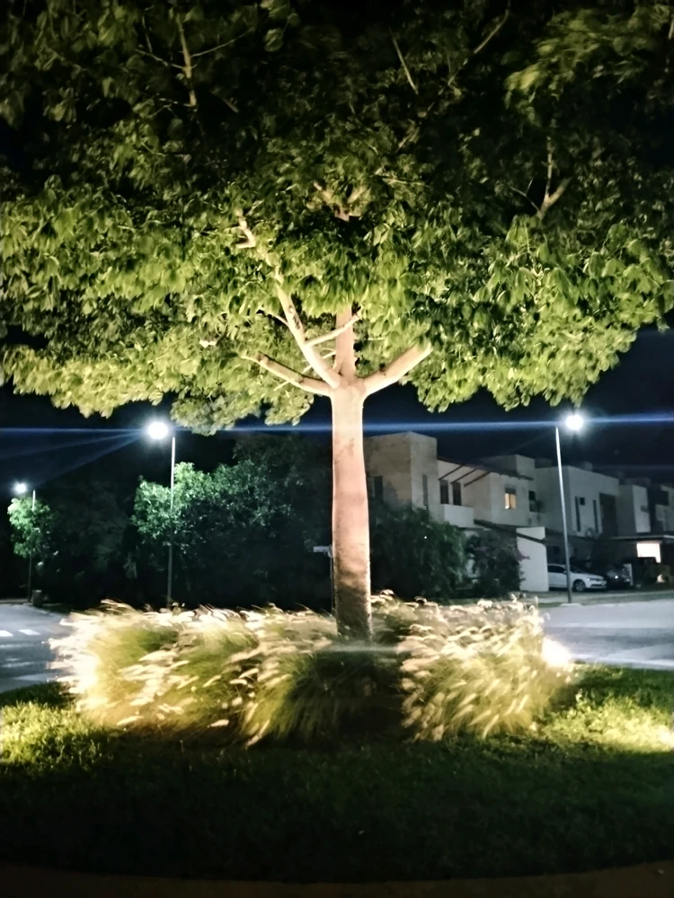 Image uploaded by Emmanems