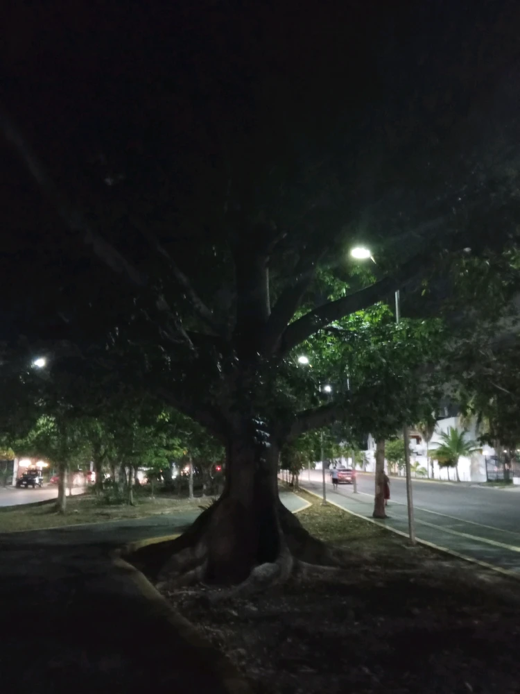 Image uploaded by Emmanems