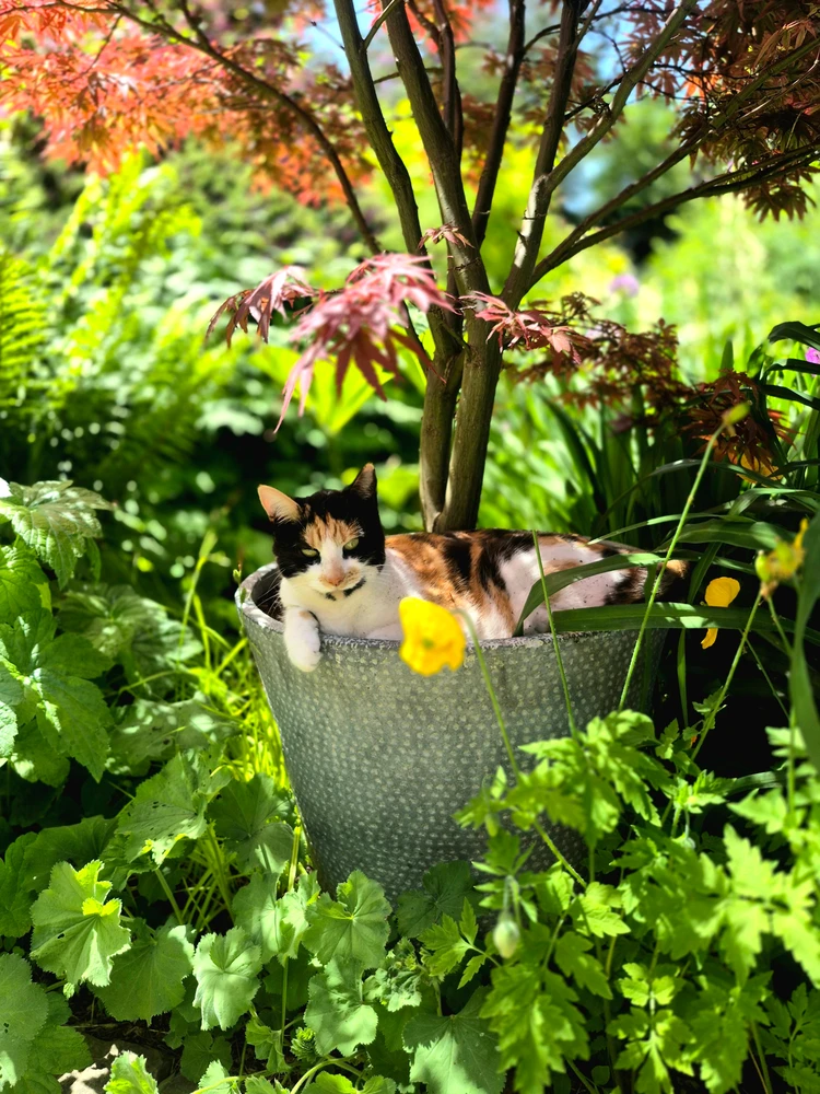 GIF uploaded by Domi