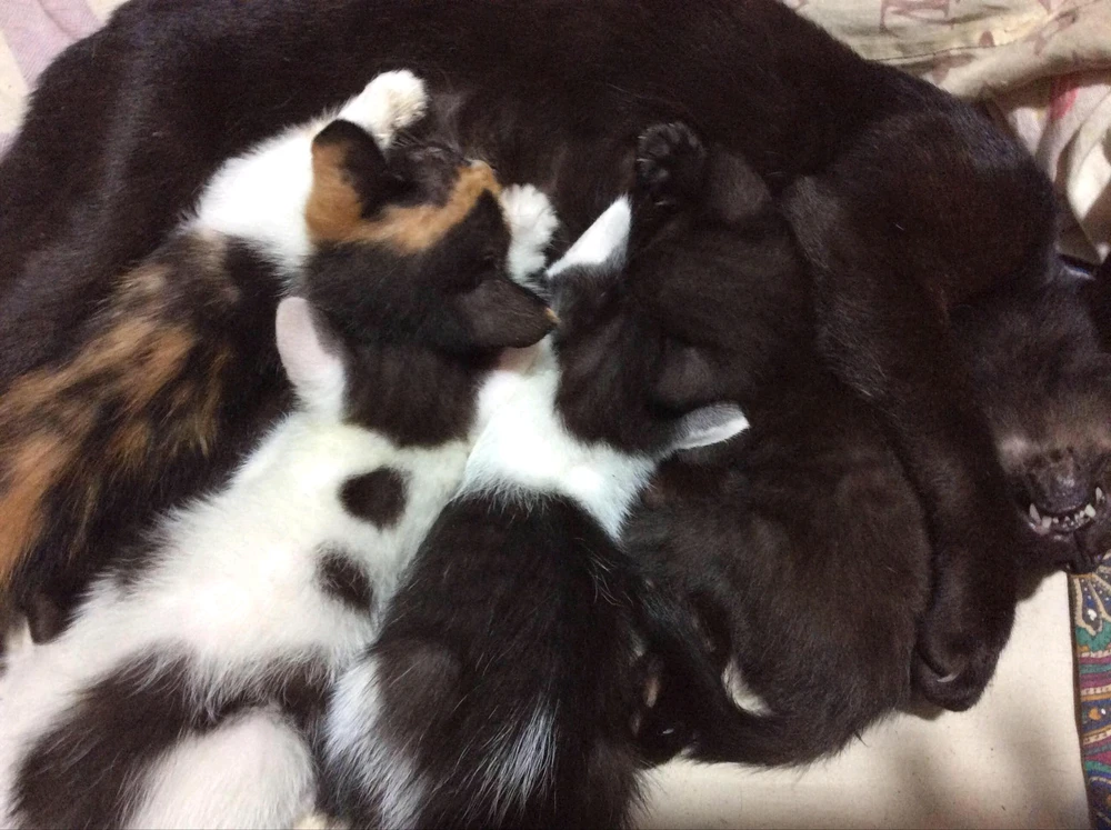 GIF uploaded by Nina