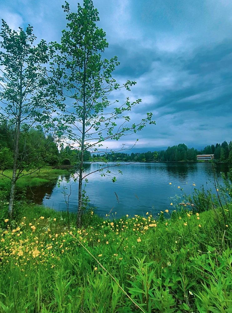 GIF uploaded by Sulei