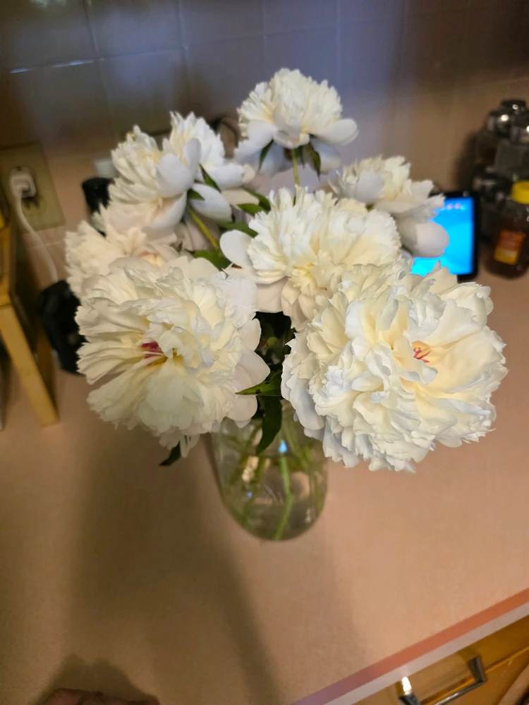 GIF uploaded by Eric H