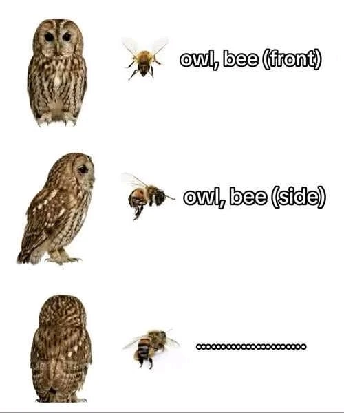 GIF uploaded by Jeffrey