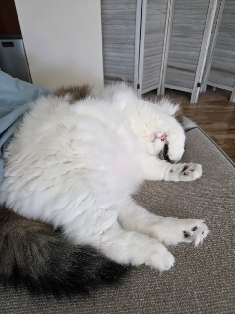 GIF uploaded by Jacob