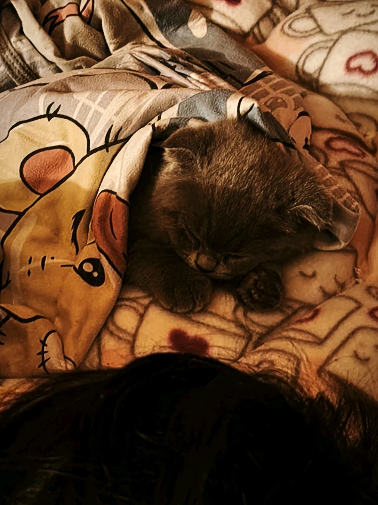 GIF uploaded by Samantha