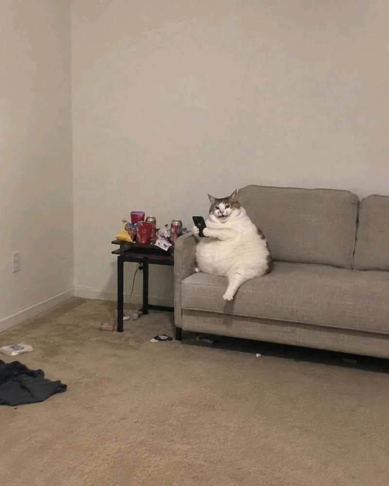 GIF uploaded by Johnny