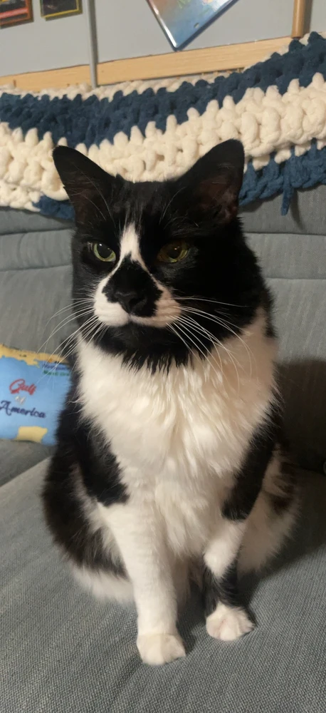 GIF uploaded by Piper
