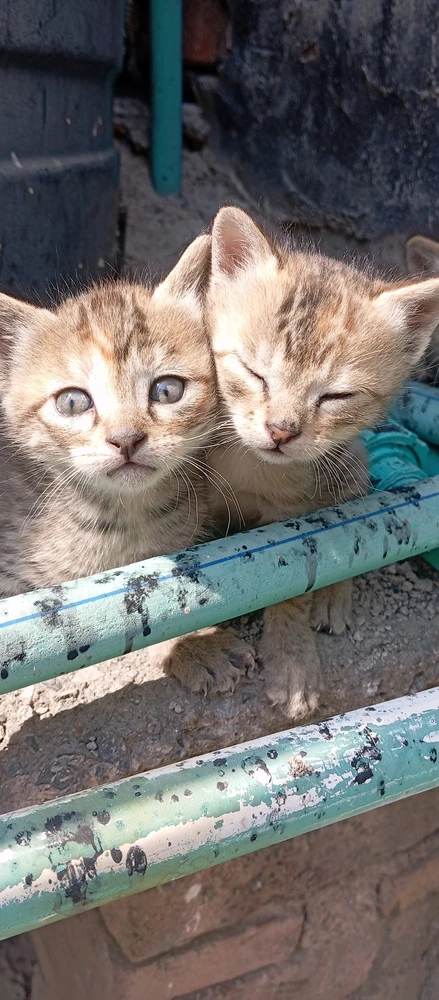 GIF uploaded by Lakshya Sharma