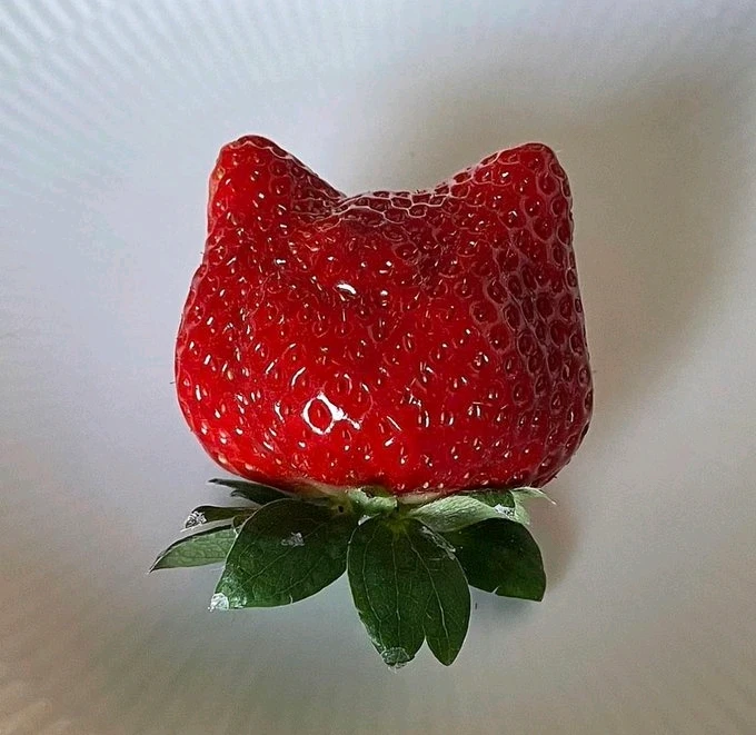 GIF uploaded by Cruz