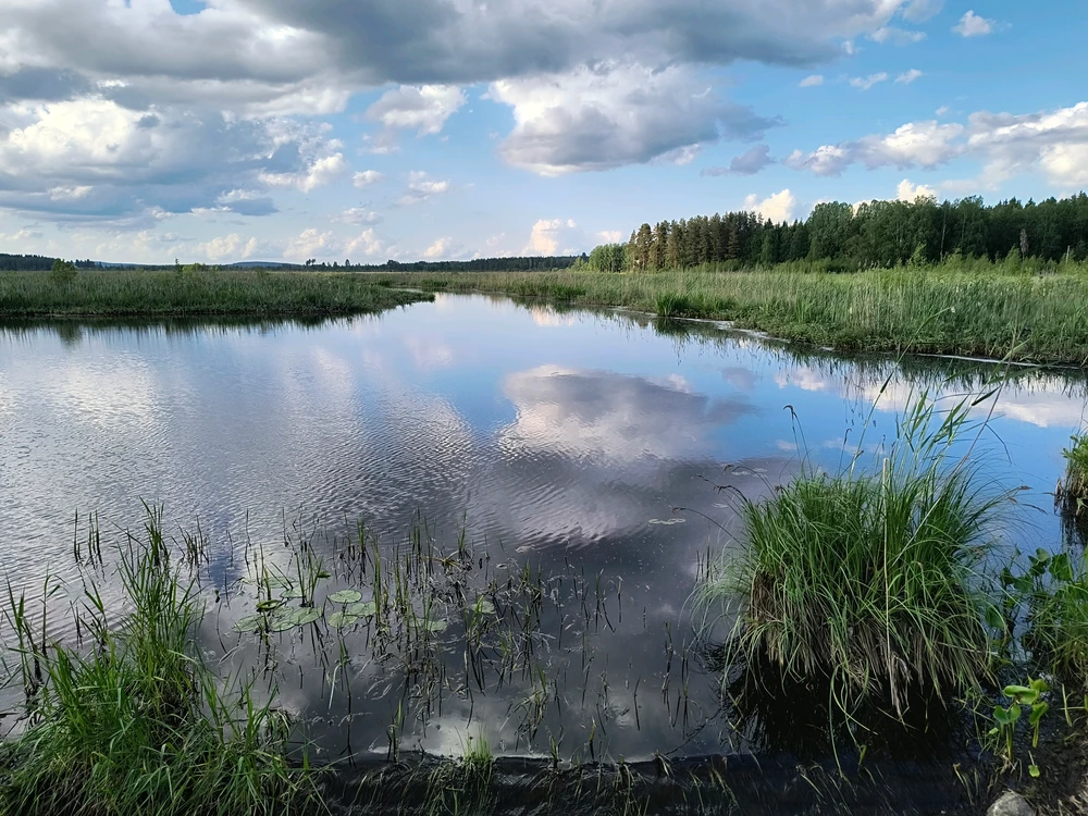 GIF uploaded by Sulei