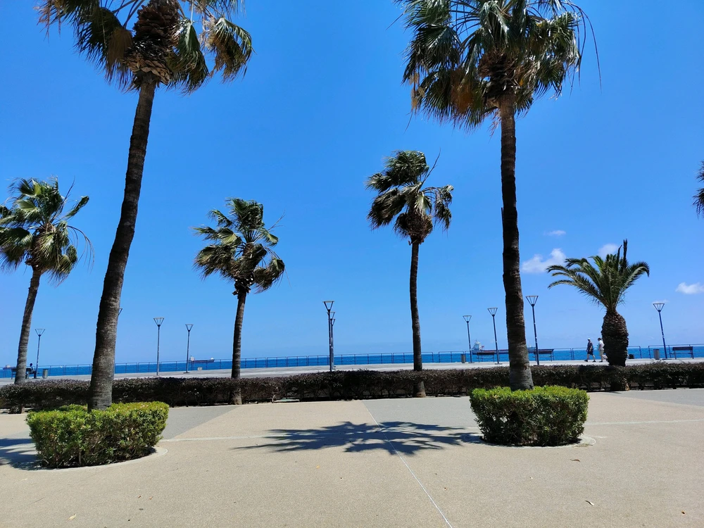 Image uploaded by Giorgi