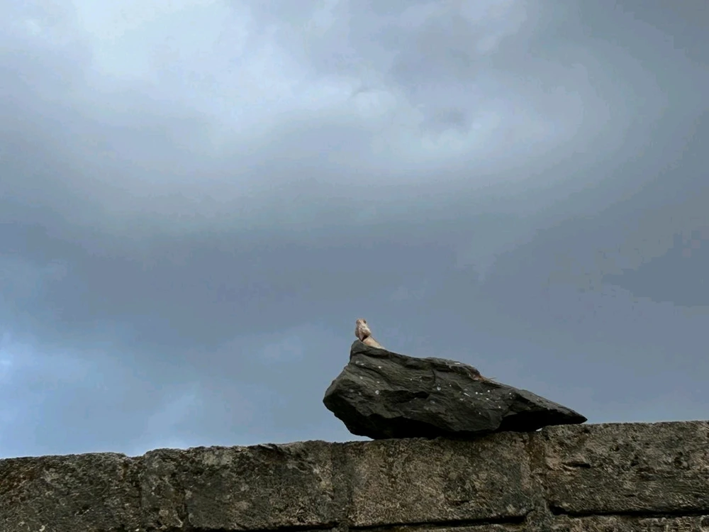 GIF uploaded by Mattieeee