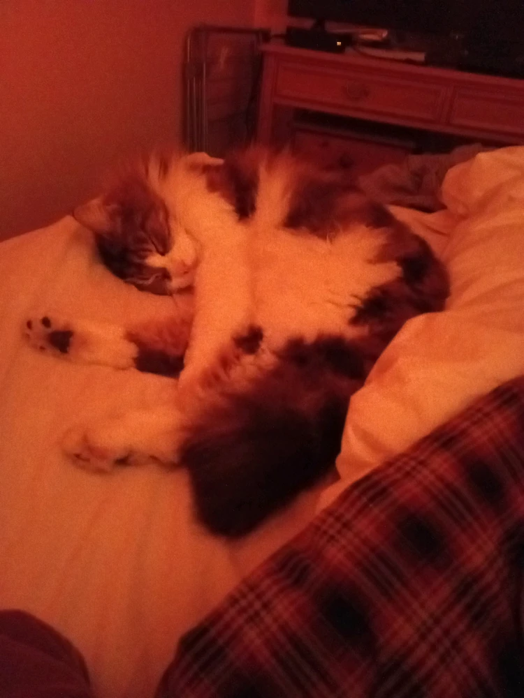 GIF uploaded by Justin