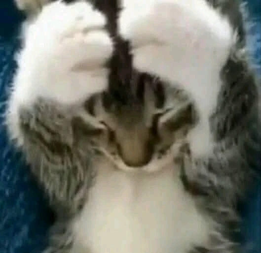 GIF uploaded by Malachi