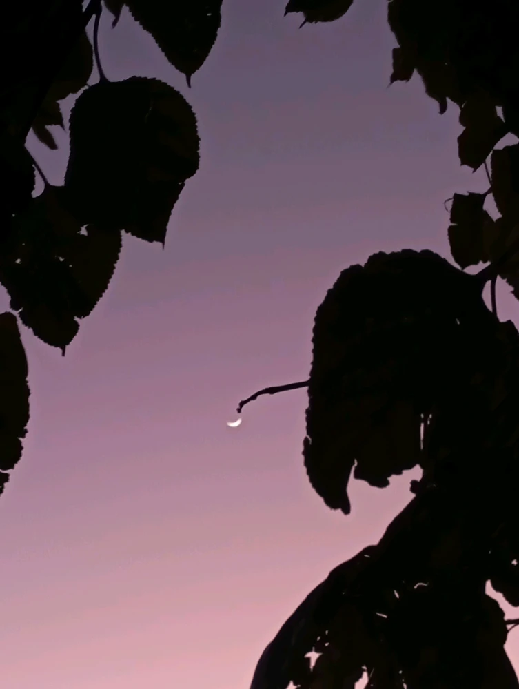 GIF uploaded by Lilly