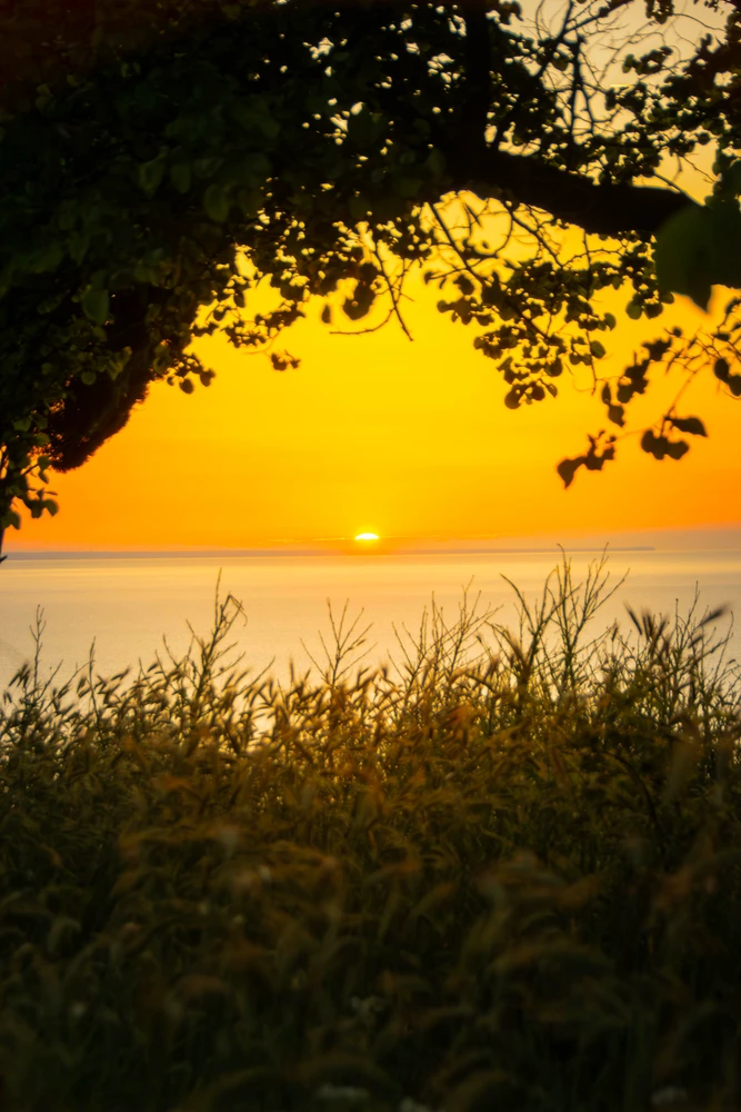 Image uploaded by Viktor Radev