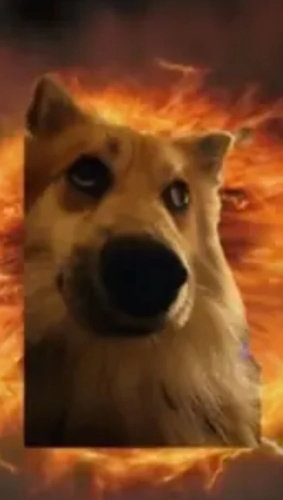 GIF uploaded by L