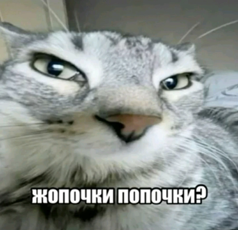 Фото загрузил Стас