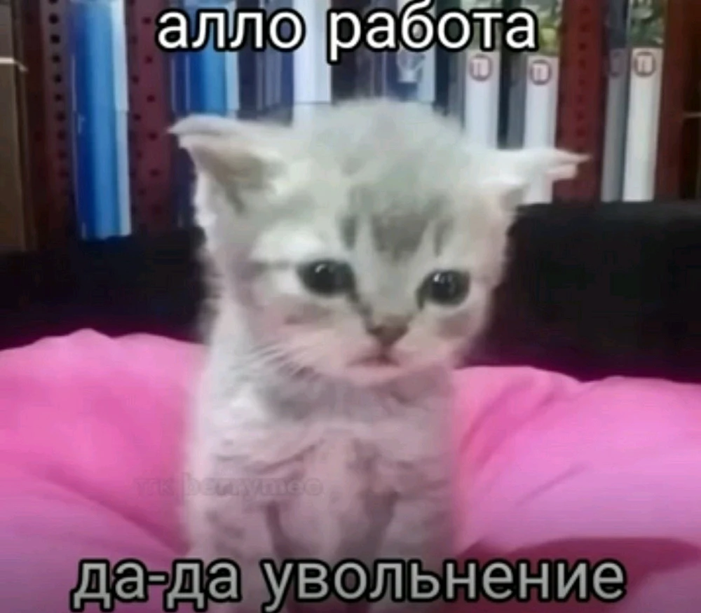Фото загрузил Стас