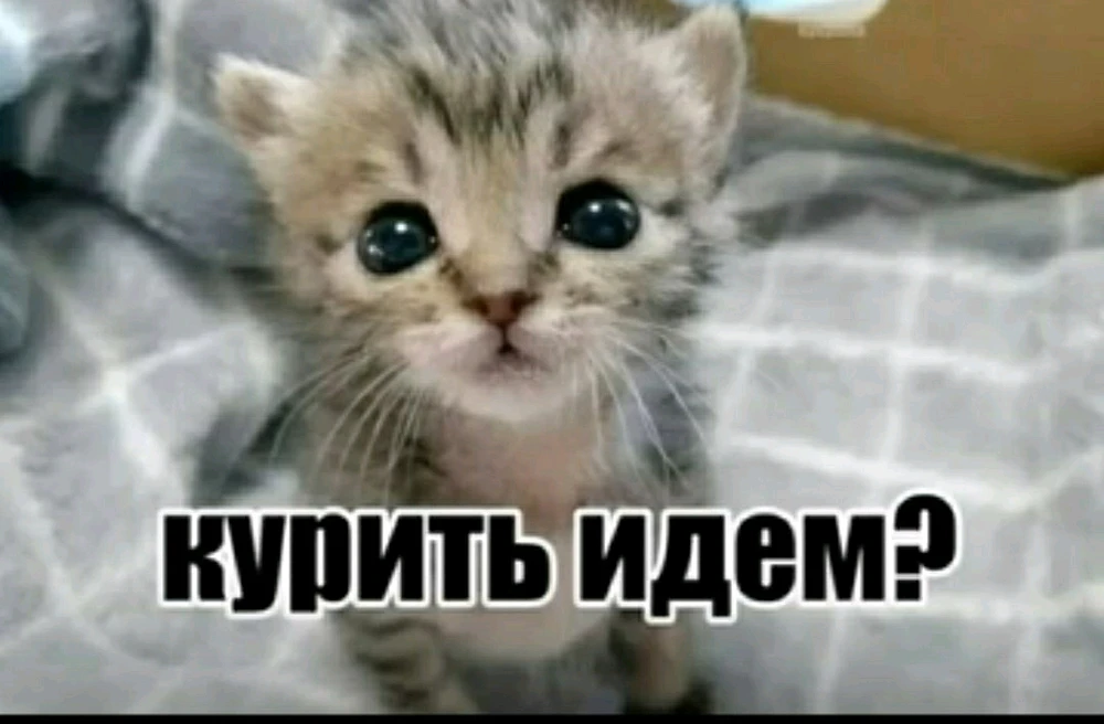 Фото загрузил Стас