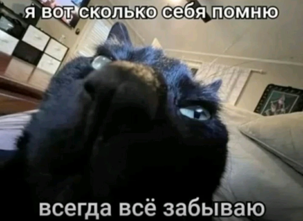 Фото загрузил Стас