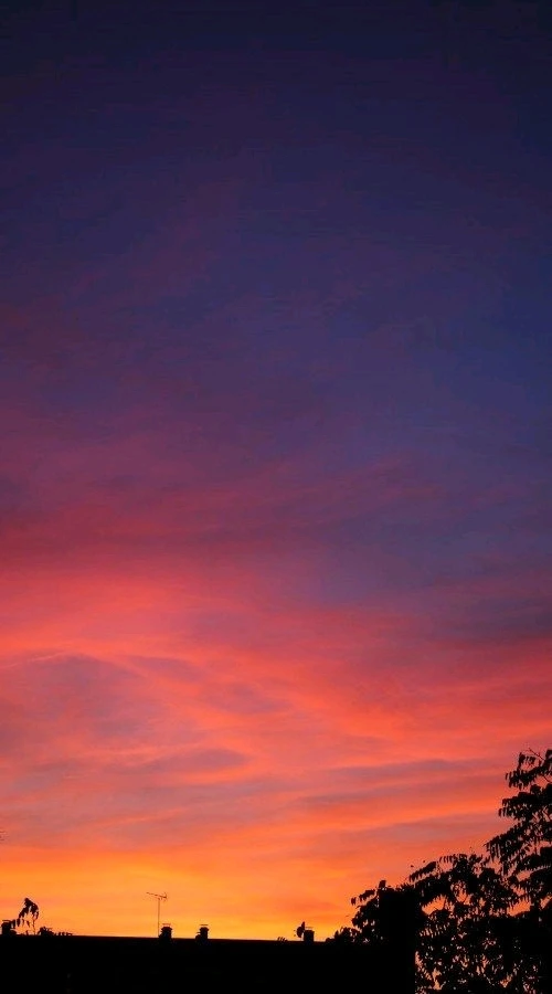 GIF uploaded by S