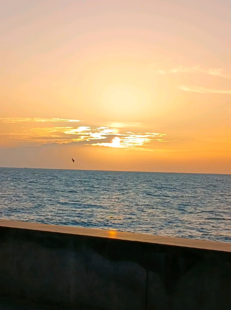 GIF uploaded by 𝑨𝒏𝒆𝒆𝒍..