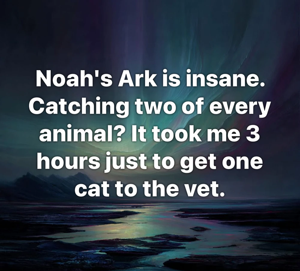 GIF uploaded by ℳ𝒾𝒹𝓃𝒾𝑔𝒽𝓉
