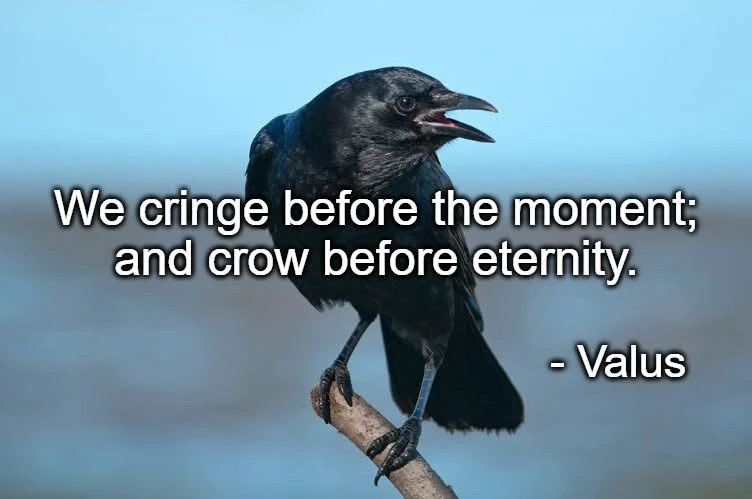 GIF uploaded by Valus