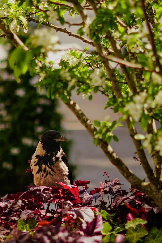 GIF uploaded by Kacper