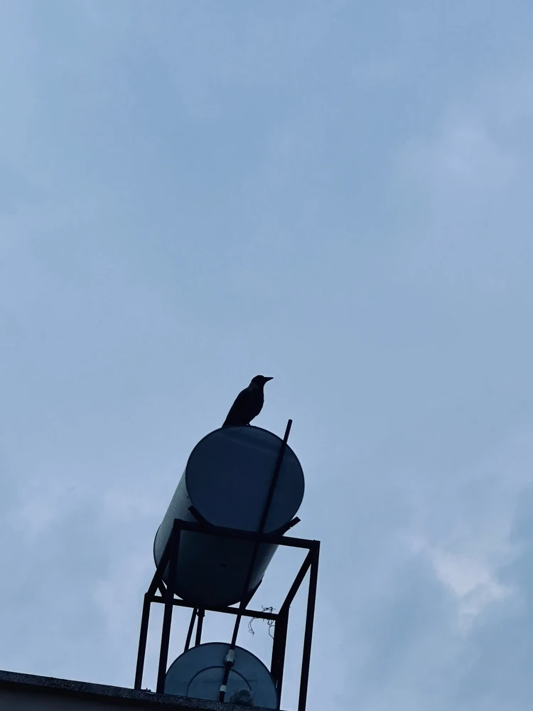 Auron tarafından yüklenen GIF