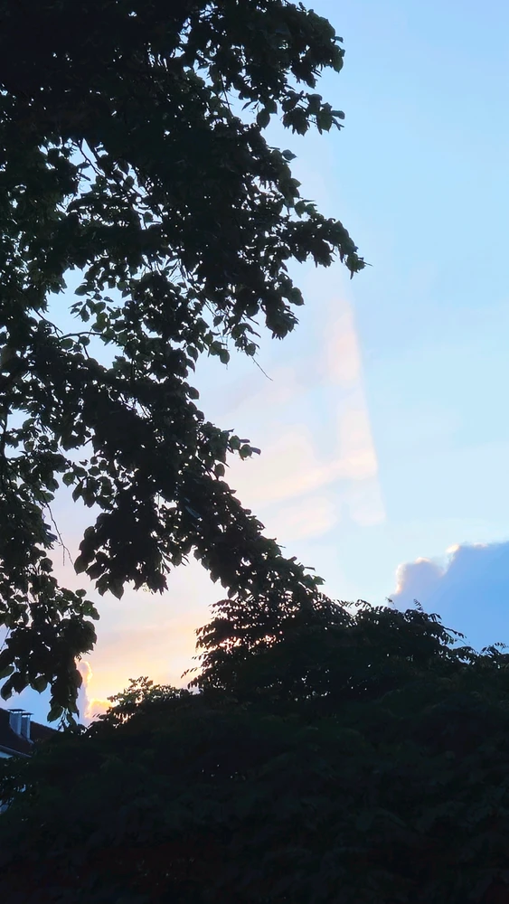 GIF uploaded by Jihad