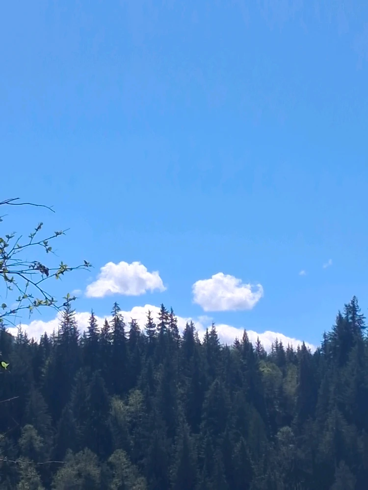 GIF uploaded by Juan carlos