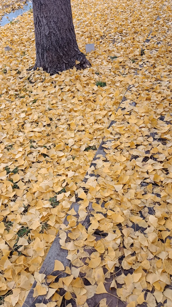 GIF subido por Eze