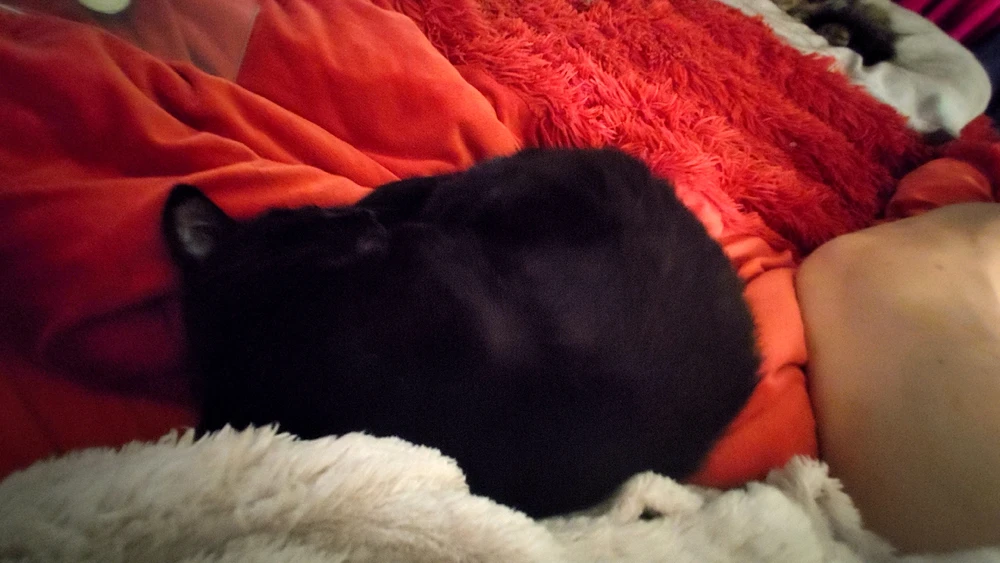 GIF uploaded by ❤ Sophia aka Mango Mami ❤️