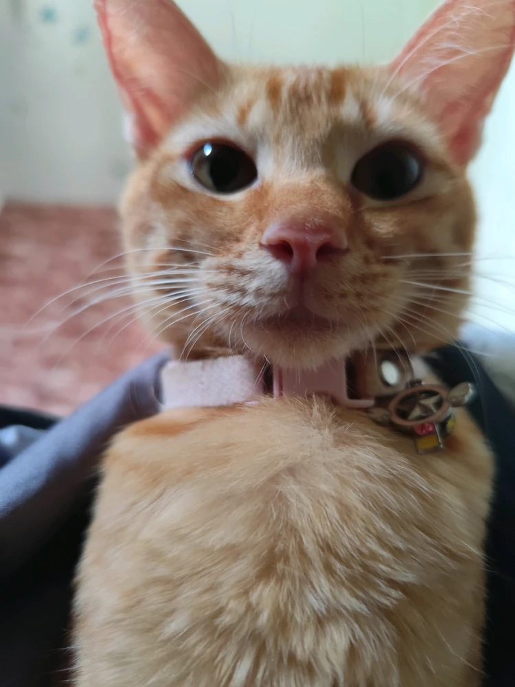 GIF uploaded by Sam