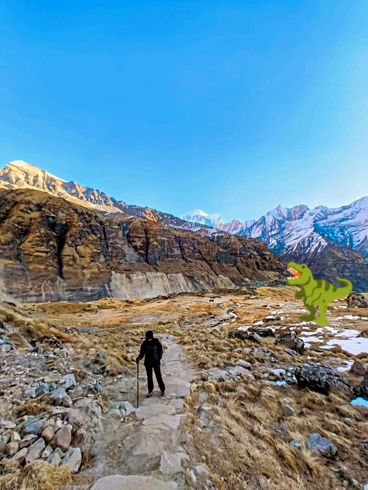 Image uploaded by Nidhin