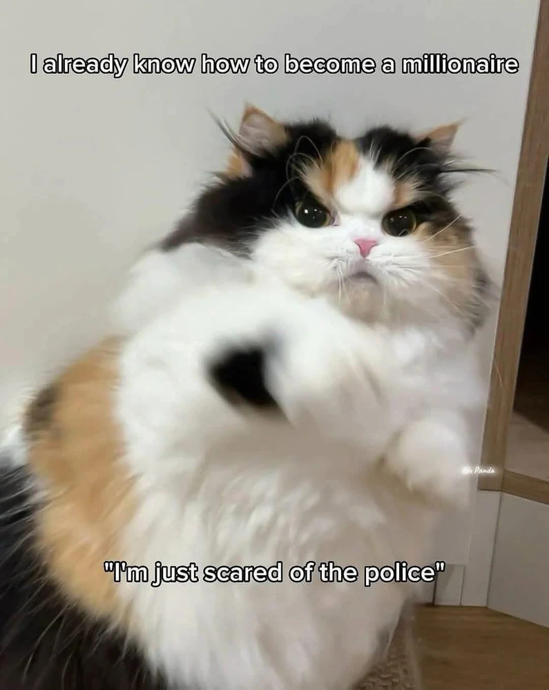 GIF uploaded by Harris K