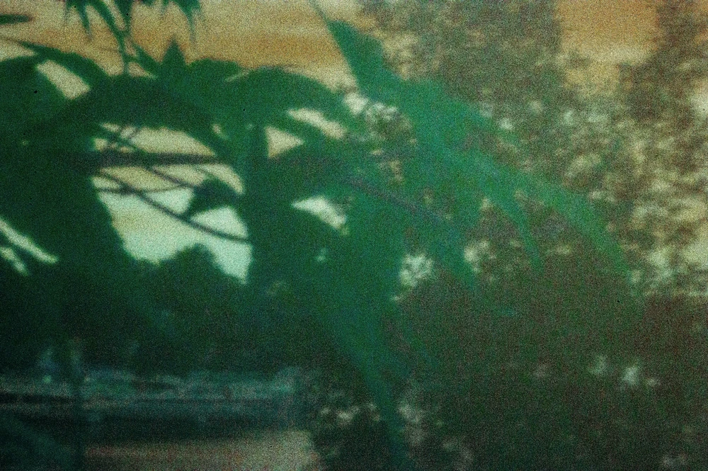 Image uploaded by Gram