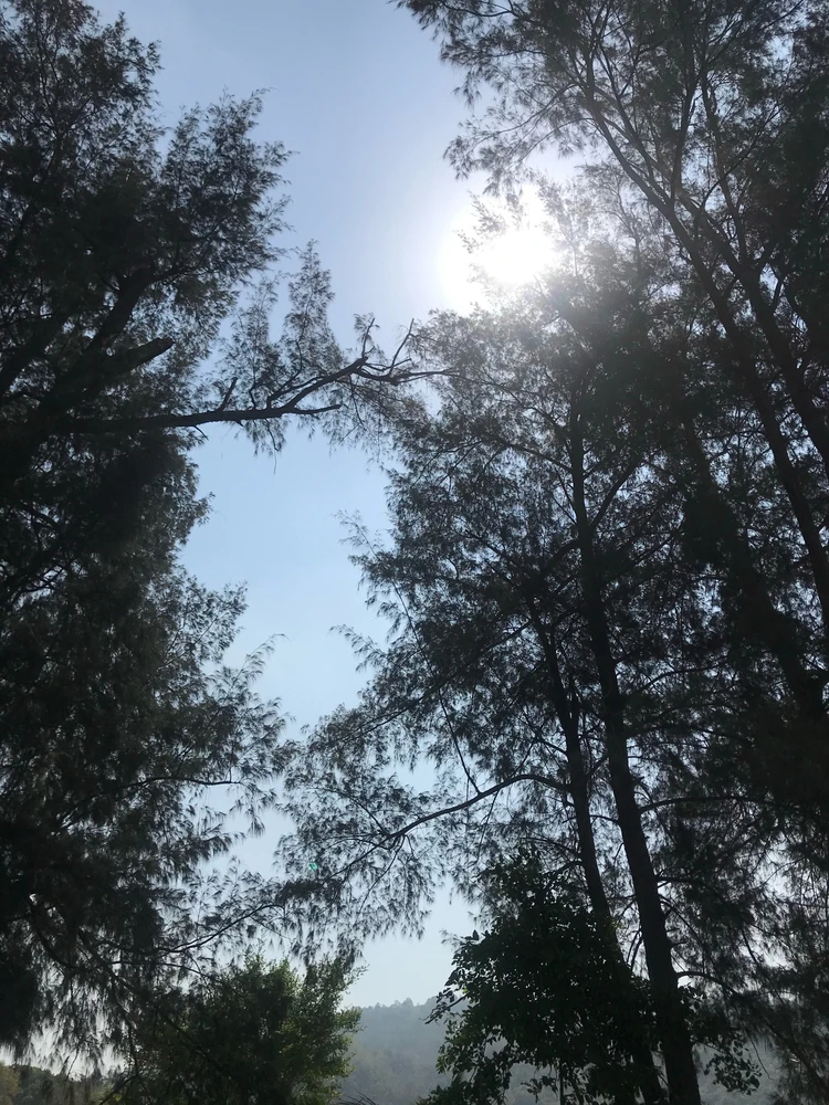 GIF uploaded by precious pink