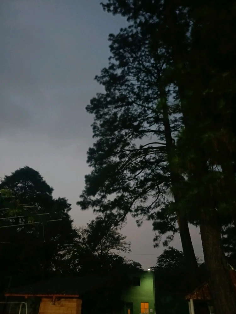 GIF subido por Mariana G