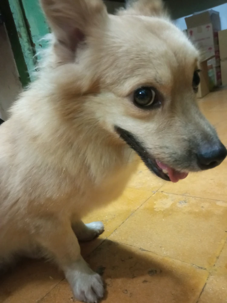 GIF uploaded by Tine